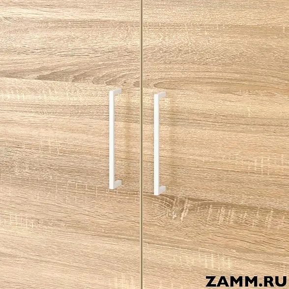 Шкаф ZAMM распашной 2 полки, 2 двери для дома. На металлокаркасе 900 (Ш:900, Г:414, В:831) 